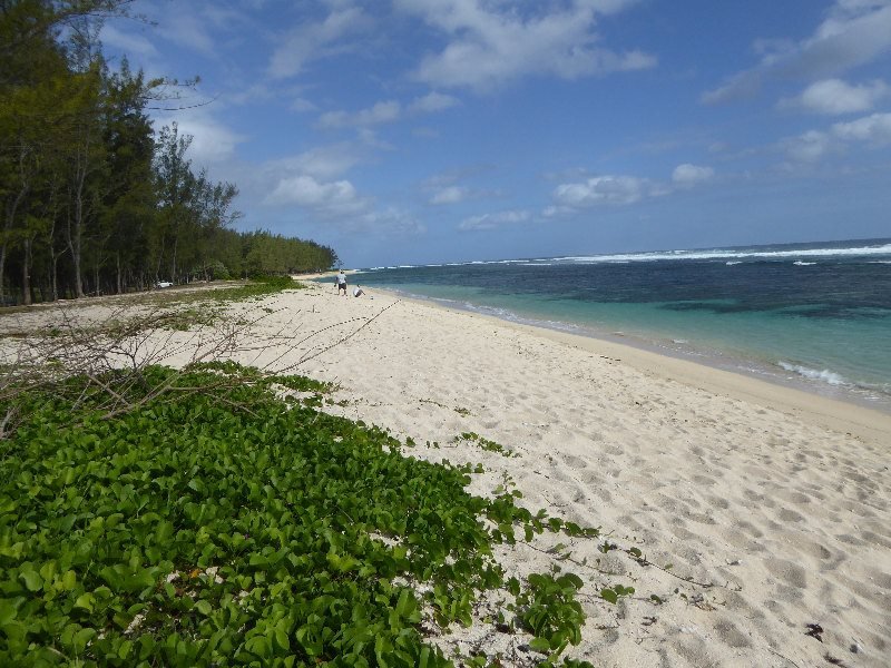 Mauritius 2017 464